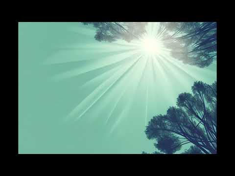 What Is Stoicism, Basically? A Comprehensive Overview