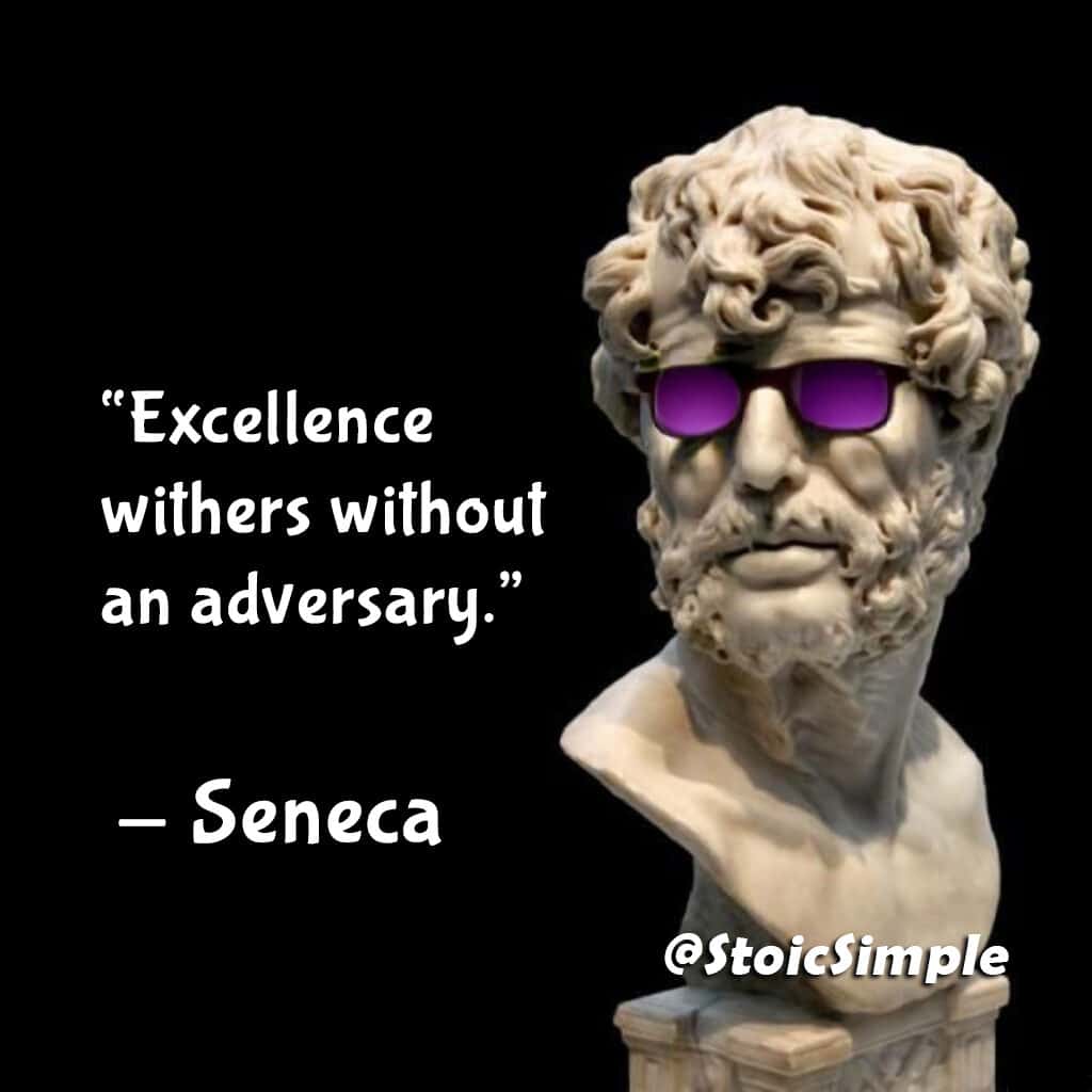 Seneca Stoicism Quote 20